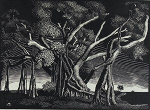 Image description is not available for DU1946.242